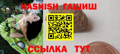 индика Гусев