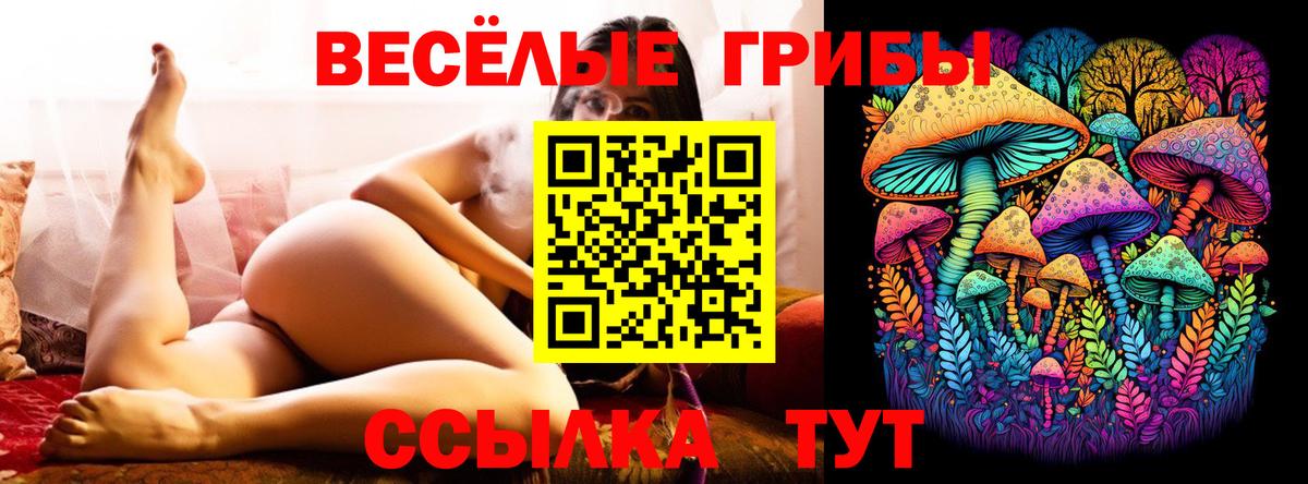 Галлюциногенные грибы Psilocybe Октябрьский